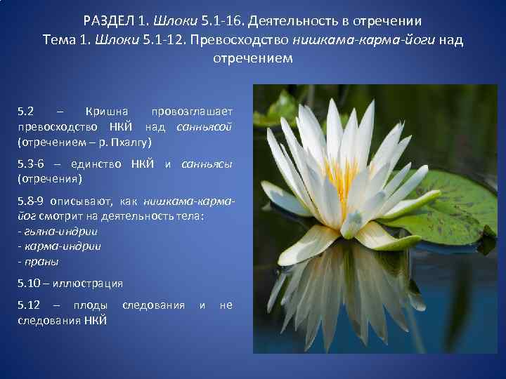 РАЗДЕЛ 1. Шлоки 5. 1 -16. Деятельность в отречении Тема 1. Шлоки 5. 1