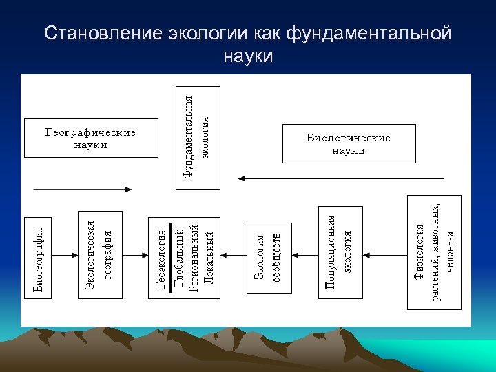 Становление экологии как фундаментальной науки 