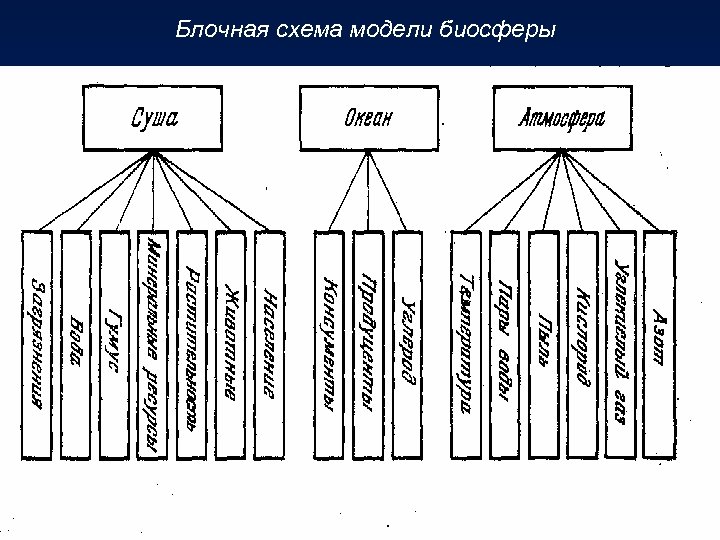 Блочная схема модели биосферы 