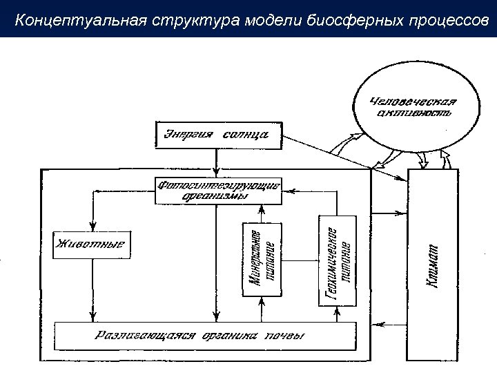 Концептуальная структура модели биосферных процессов 