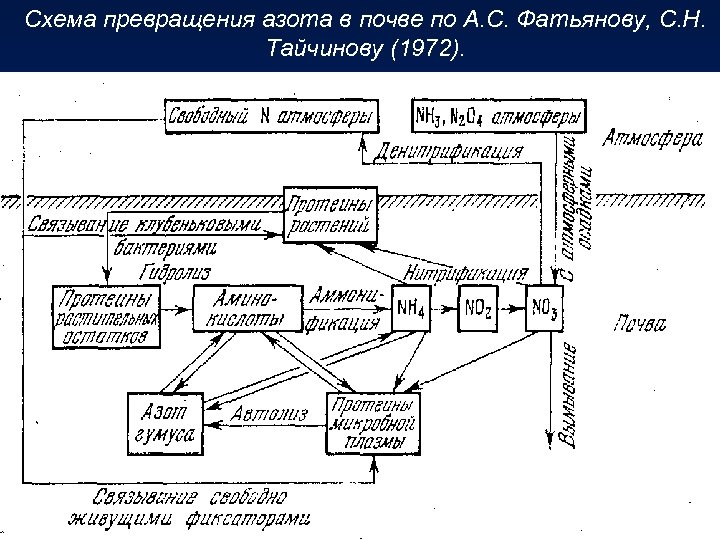 Схема превращения азота в почве по А. С. Фатьянову, С. Н. Тайчинову (1972). 