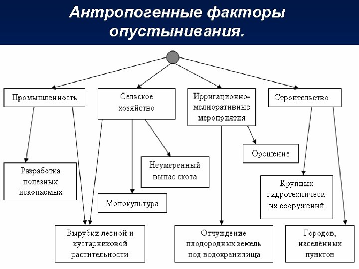 Антропогенные факторы опустынивания. 