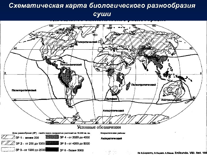 Схематическая карта биологического разнообразия суши 