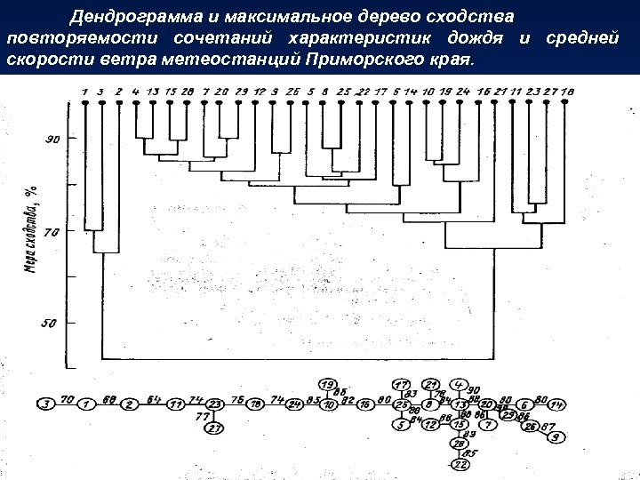 Дендрограмма и максимальное дерево сходства повторяемости сочетаний характеристик дождя и средней скорости ветра метеостанций