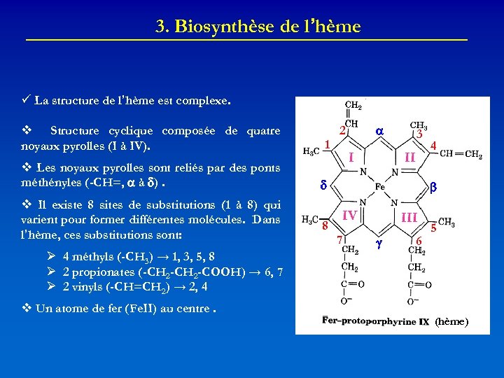 3. Biosynthèse de l’hème La structure de l’hème est complexe. v Structure cyclique composée