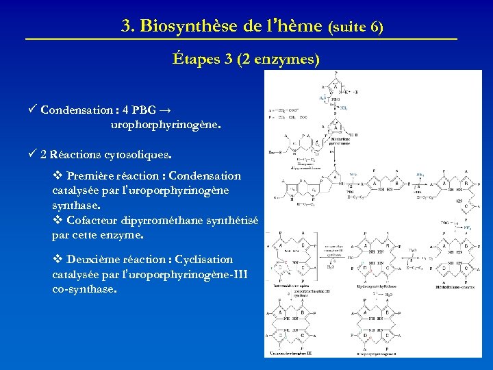 3. Biosynthèse de l’hème (suite 6) Étapes 3 (2 enzymes) Condensation : 4 PBG