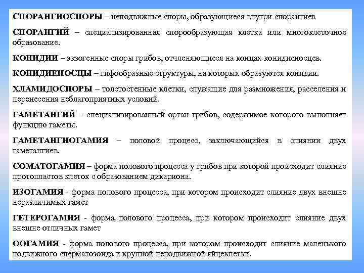 СПОРАНГИОСПОРЫ – неподвижные споры, образующиеся внутри спорангиев СПОРАНГИЙ – специализированная спорообразующая клетка или многоклеточное