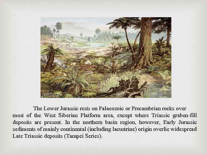 The Lower Jurassic rests on Palaeozoic or Precambrian rocks over most of the West