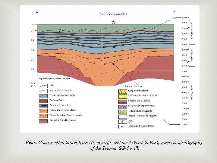 Pic. 1. Cross section through the Urengoirift, and the Triassicto Early Jurassic stratigraphy of