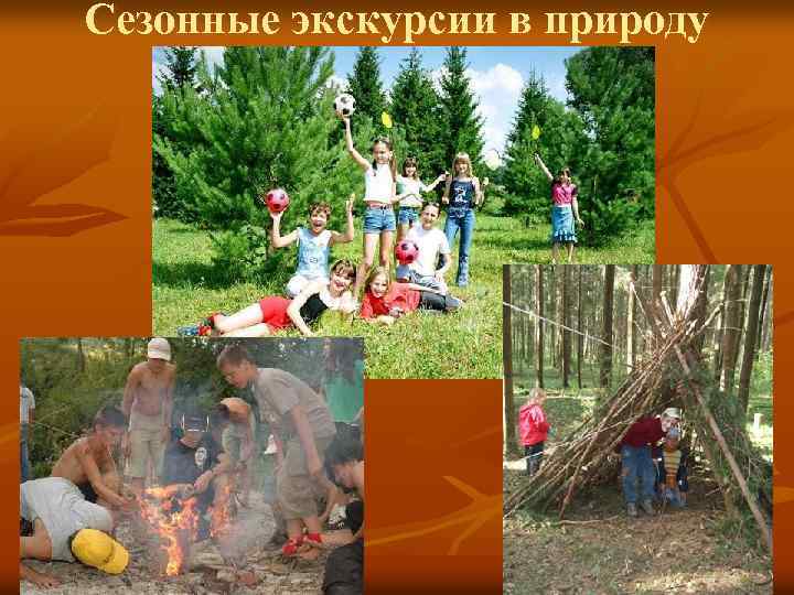 Сезонные экскурсии в природу 