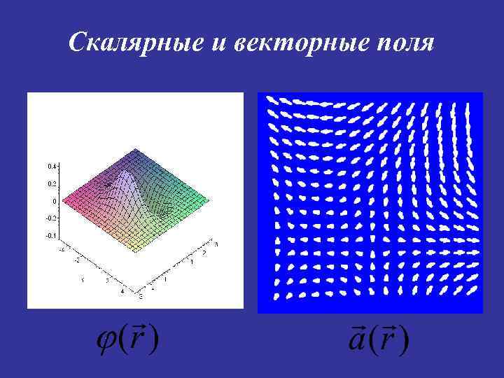 Вектор поля направлений. Скалярное и векторное поле. Скалярное поле и векторное поле. Скалярное поле примеры. Скалярные векторные и тензорные поля.