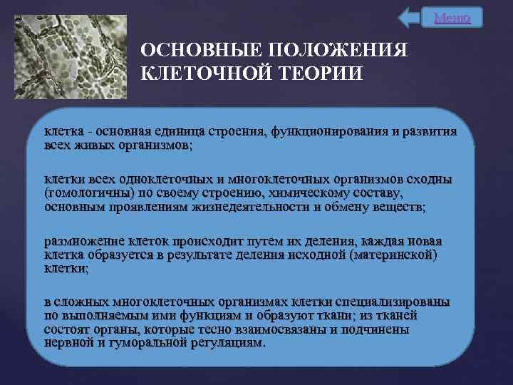 Меню ОСНОВНЫЕ ПОЛОЖЕНИЯ КЛЕТОЧНОЙ ТЕОРИИ клетка - основная единица строения, функционирования и развития всех