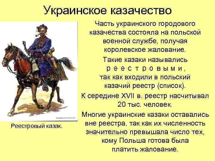 Украинское казачество Реестровый казак. Часть украинского городового казачества состояла на польской военной службе, получая