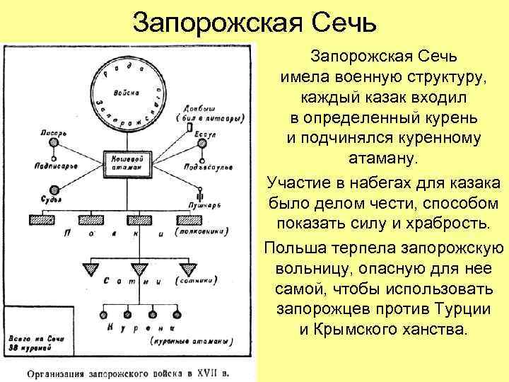 Запорожская Сечь имела военную структуру, каждый казак входил в определенный курень и подчинялся куренному