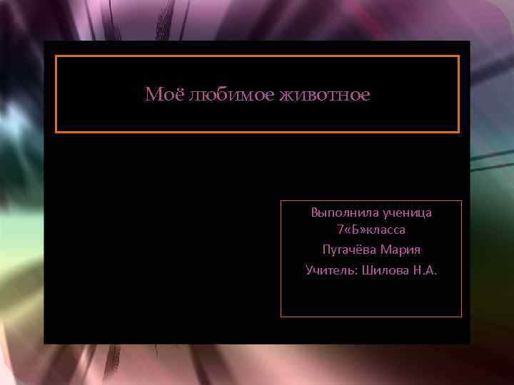 Моё любимое животное Выполнила ученица 7 «Б» класса Пугачёва Мария Учитель: Шилова Н. А.