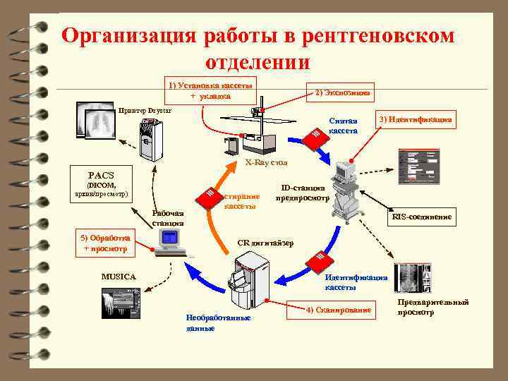 Организация работы в рентгеновском отделении 1) Установка кассеты + укладка 2) Экспозиция Принтер Drystar