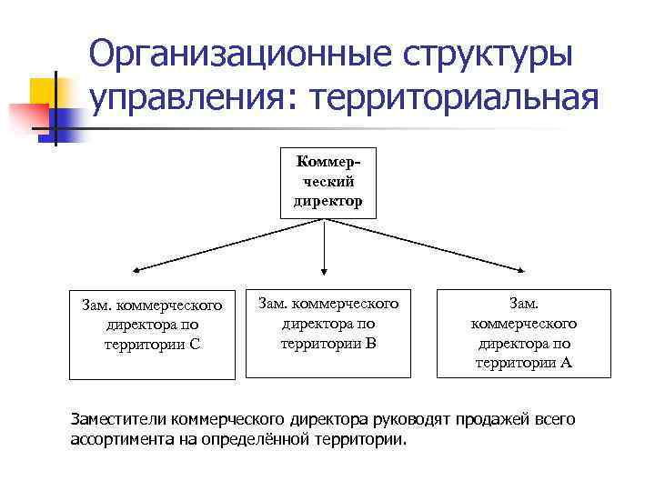 Организационные структуры управления: территориальная Коммерческий директор Зам. коммерческого директора по территории С Зам. коммерческого