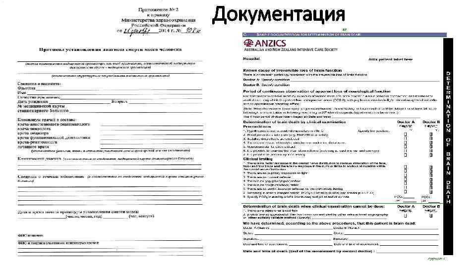 Документация 