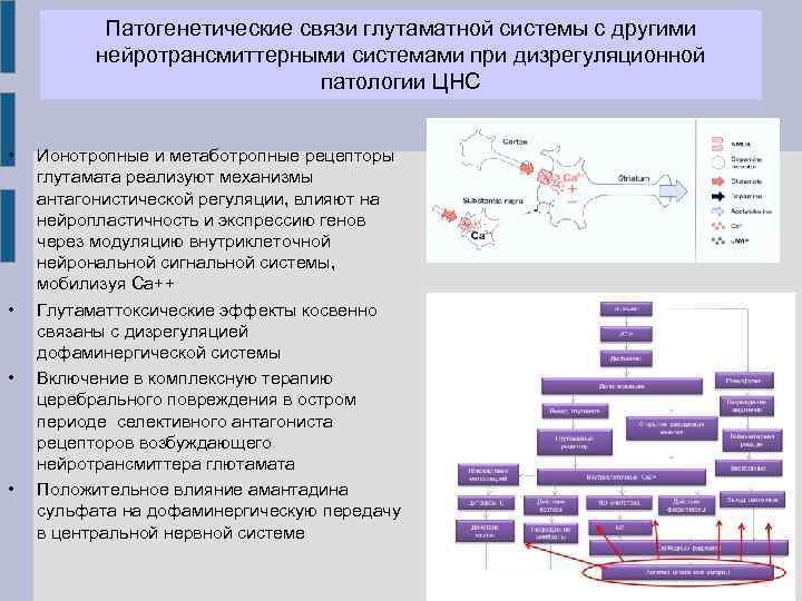 Патогенетические связи глутаматной системы с другими нейротрансмиттерными системами при дизрегуляционной патологии ЦНС • •