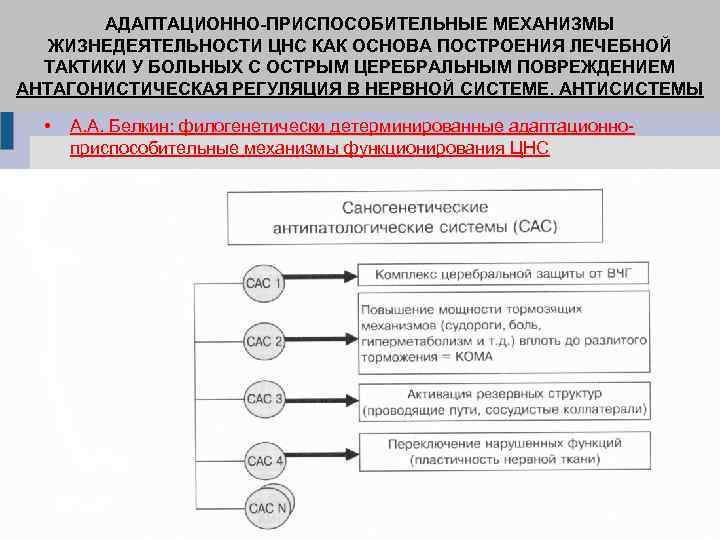АДАПТАЦИОННО-ПРИСПОСОБИТЕЛЬНЫЕ МЕХАНИЗМЫ ЖИЗНЕДЕЯТЕЛЬНОСТИ ЦНС КАК ОСНОВА ПОСТРОЕНИЯ ЛЕЧЕБНОЙ ТАКТИКИ У БОЛЬНЫХ С ОСТРЫМ ЦЕРЕБРАЛЬНЫМ