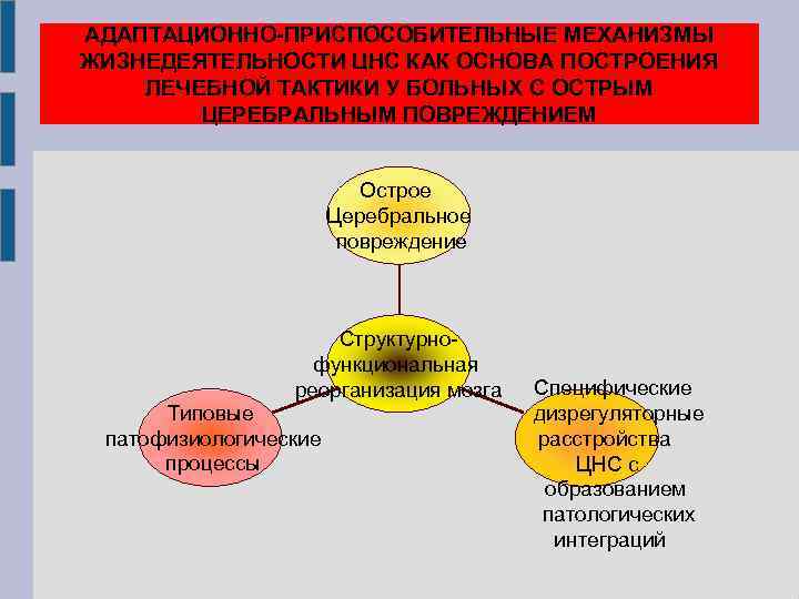 АДАПТАЦИОННО-ПРИСПОСОБИТЕЛЬНЫЕ МЕХАНИЗМЫ ЖИЗНЕДЕЯТЕЛЬНОСТИ ЦНС КАК ОСНОВА ПОСТРОЕНИЯ ЛЕЧЕБНОЙ ТАКТИКИ У БОЛЬНЫХ С ОСТРЫМ ЦЕРЕБРАЛЬНЫМ