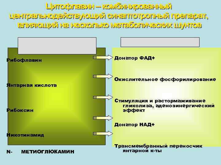 Компоненты цитофлавина Рибофлавин Янтарная кислота Рибоксин ДЕЙСТВИЕ Донатор ФАД+ Окислительное фосфорилирование Стимуляция и растормаживание