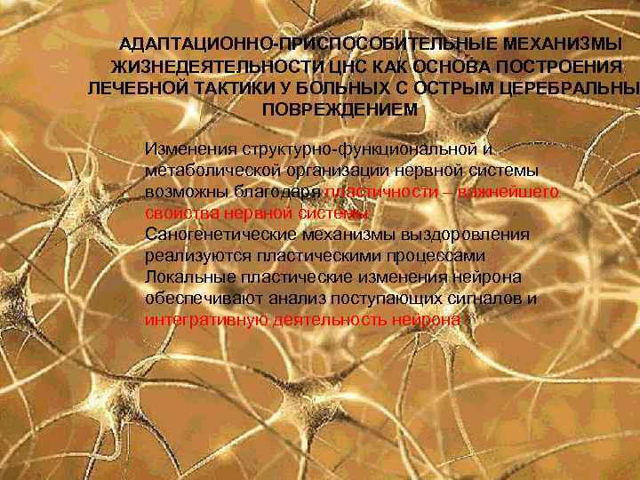 АДАПТАЦИОННО-ПРИСПОСОБИТЕЛЬНЫЕ МЕХАНИЗМЫ ЖИЗНЕДЕЯТЕЛЬНОСТИ ЦНС КАК ОСНОВА ПОСТРОЕНИЯ ЛЕЧЕБНОЙ ТАКТИКИ У БОЛЬНЫХ С ОСТРЫМ ЦЕРЕБРАЛЬНЫ