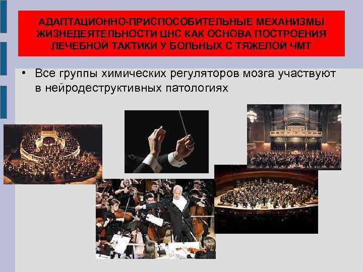 АДАПТАЦИОННО-ПРИСПОСОБИТЕЛЬНЫЕ МЕХАНИЗМЫ ЖИЗНЕДЕЯТЕЛЬНОСТИ ЦНС КАК ОСНОВА ПОСТРОЕНИЯ ЛЕЧЕБНОЙ ТАКТИКИ У БОЛЬНЫХ С ТЯЖЕЛОЙ ЧМТ