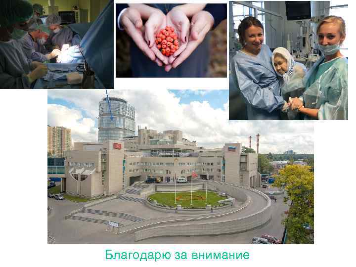 Благодарю за внимание 