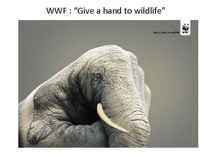 WWF : “Give a hand to wildlife” 