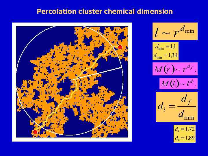 Percolation cluster chemical dimension 