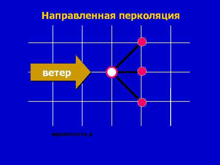 Направленная перколяция ветер вероятность p 