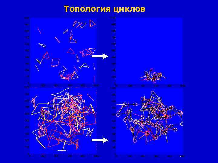 Топология циклов 