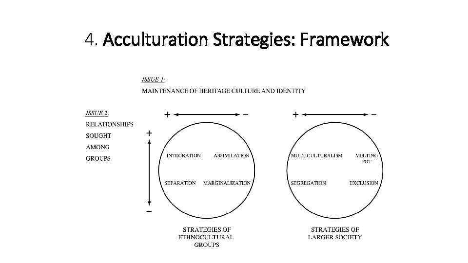 4. Acculturation Strategies: Framework 