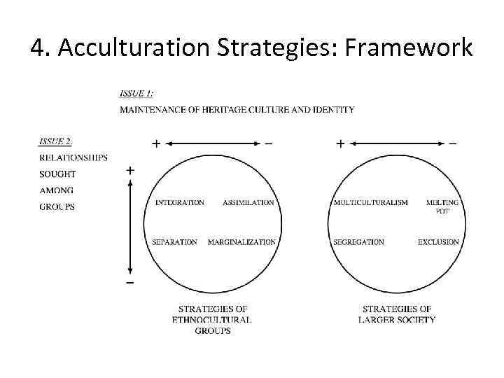 4. Acculturation Strategies: Framework 