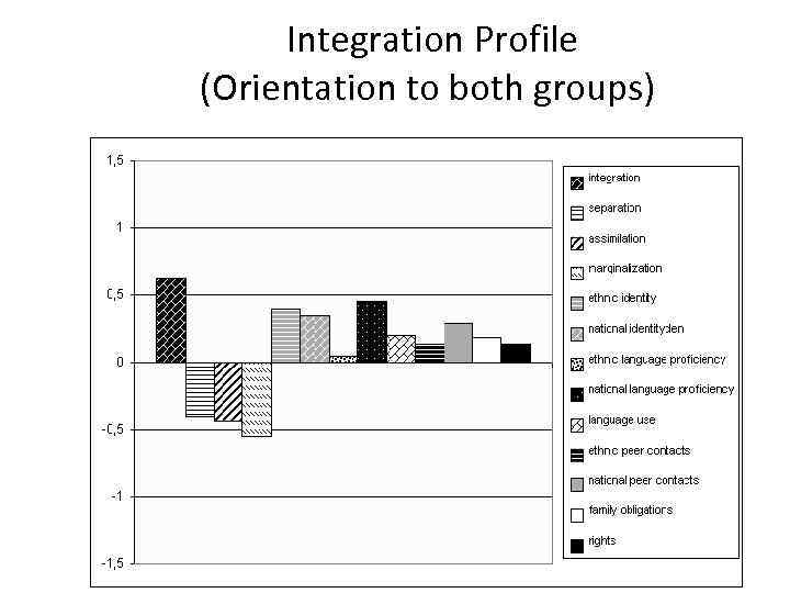  Integration Profile (Orientation to both groups) 