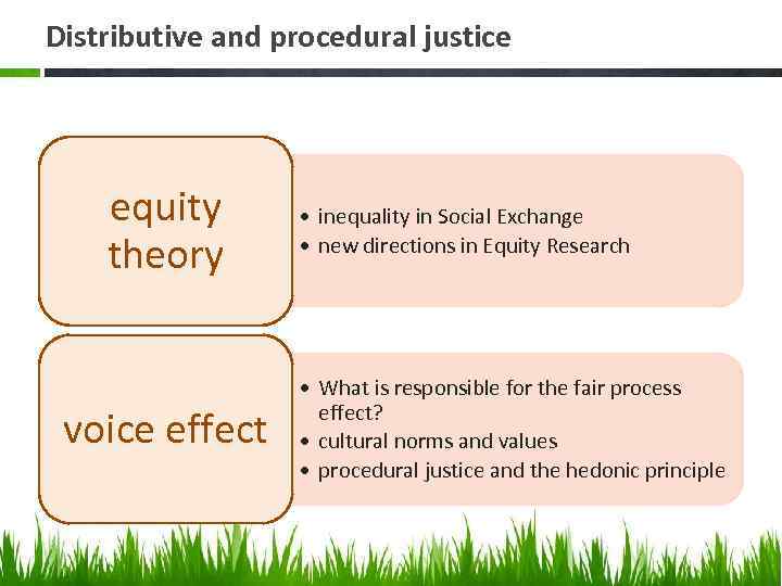 Distributive and procedural justice equity theory voice effect • inequality in Social Exchange •