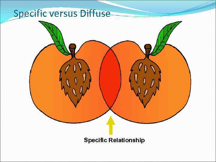 Specific versus Diffuse Specific Relationship 