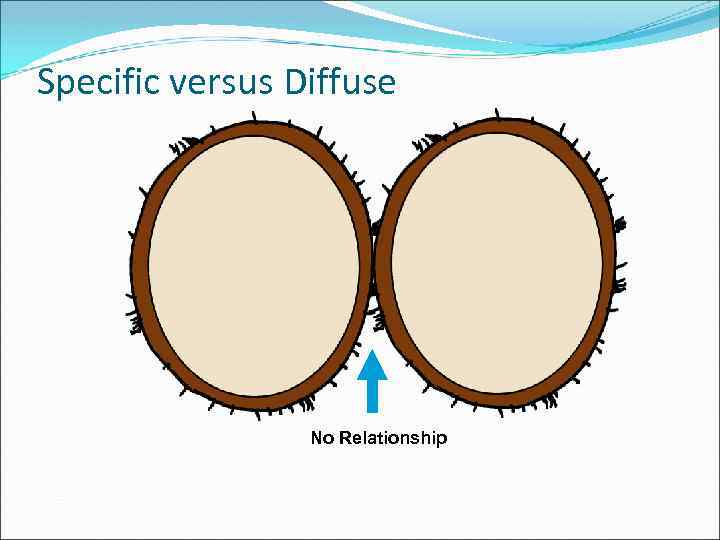 Specific versus Diffuse No Relationship 