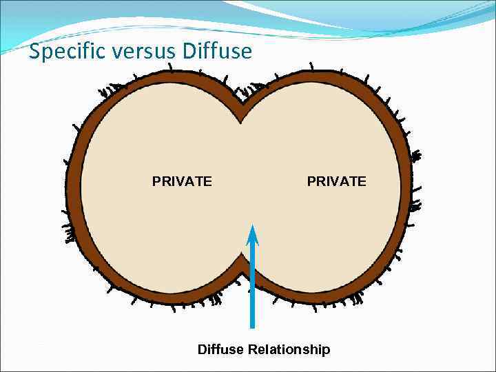 Specific versus Diffuse PRIVATE Diffuse Relationship 