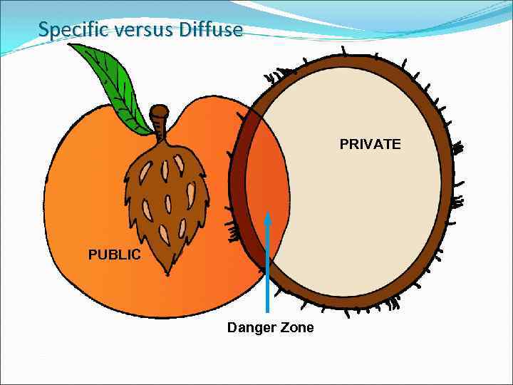 Specific versus Diffuse PRIVATE PUBLIC Danger Zone 