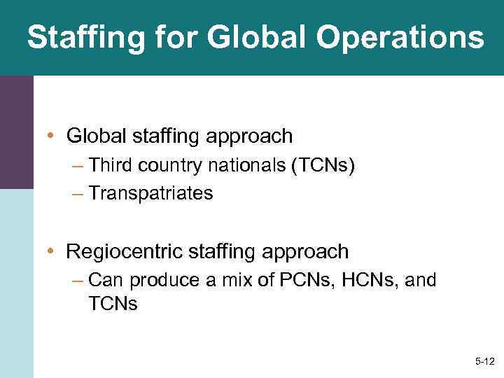 Staffing for Global Operations • Global staffing approach – Third country nationals (TCNs) –