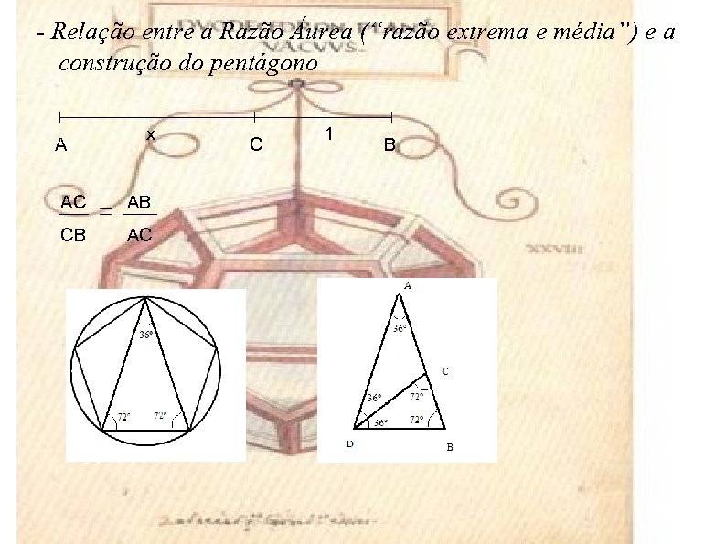 - Relação entre a Razão Áurea (“razão extrema e média”) e a construção do