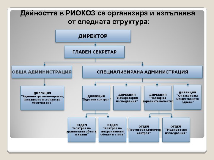 Дейността в РИОКОЗ се организира и изпълнява от следната структура: 