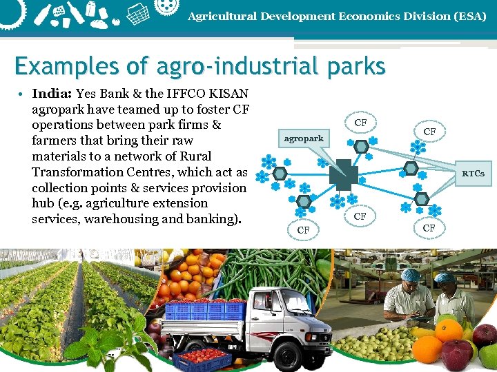 Agricultural Development Economics Division (ESA) Examples of agro-industrial parks • India: Yes Bank &
