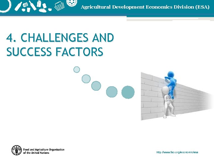 Agricultural Development Economics Division (ESA) 4. CHALLENGES AND SUCCESS FACTORS http: //www. fao. org/economic/esa