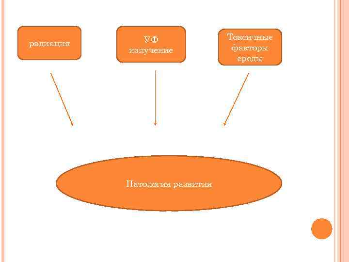 радиация УФ излучение Патология развития Токсичные факторы среды 