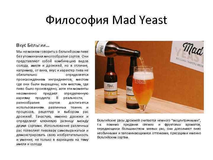 Философия Mad Yeast Вкус Бельгии… Мы не можем говорить о бельгийском пиве без упоминания