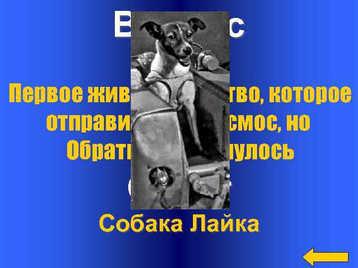 Вопрос Первое живое существо, которое отправилось в космос, но Обратно не вернулось Ответ Собака