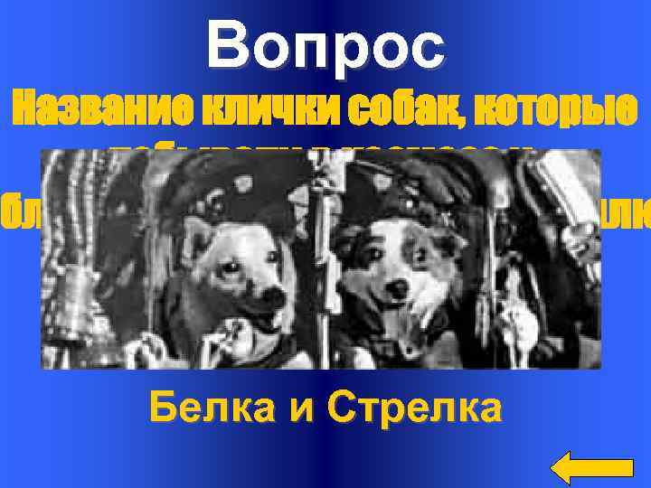 Вопрос Название клички собак, которые побывали в космосе и благополучно вернулись на Землю Ответ